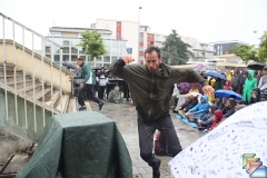 Paon dans le ciment * (24 Diapositives)